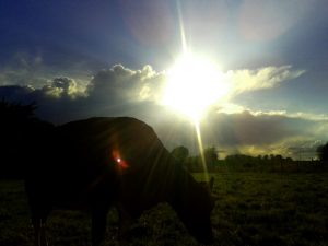 20160509_195915
