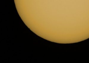 IMG_7520