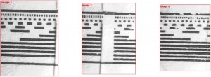 Images individuelles de 480 pixels de largeur