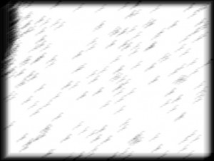 moy
