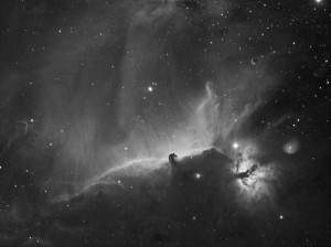 IC434 Tete de cheval Image du mois