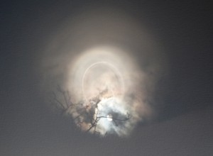 reaMois1503_soleil2 2                               